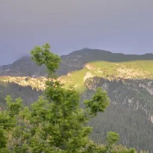 Domaine Du Grand Tetras , Samoëns France